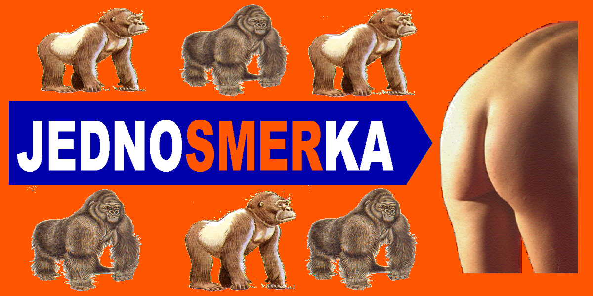 jedno-smerka-z.jpg (89430 bytes)